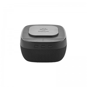 4250 Siyah Wireless Şarj & Hoparlör