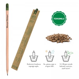 569 Tohumlu Naturel Kurşun Kalem