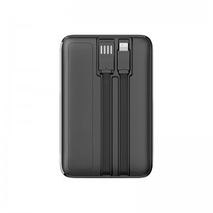 PB-4019 10.000 mAh Powerbank