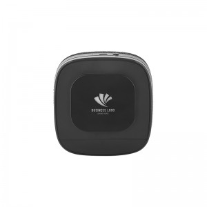4250 Wireless Şarj & Hoparlör